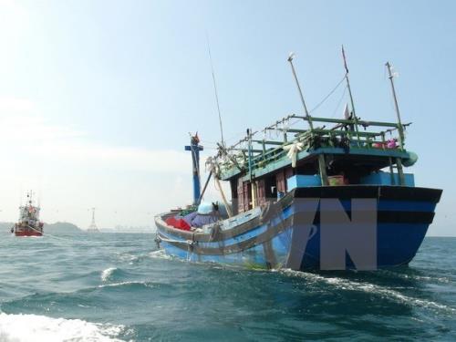 Cứu nạn khẩn cấp tàu cá bị trôi dạt trên biển ảnh 1